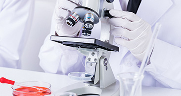 Ӣ���z�y(c��)